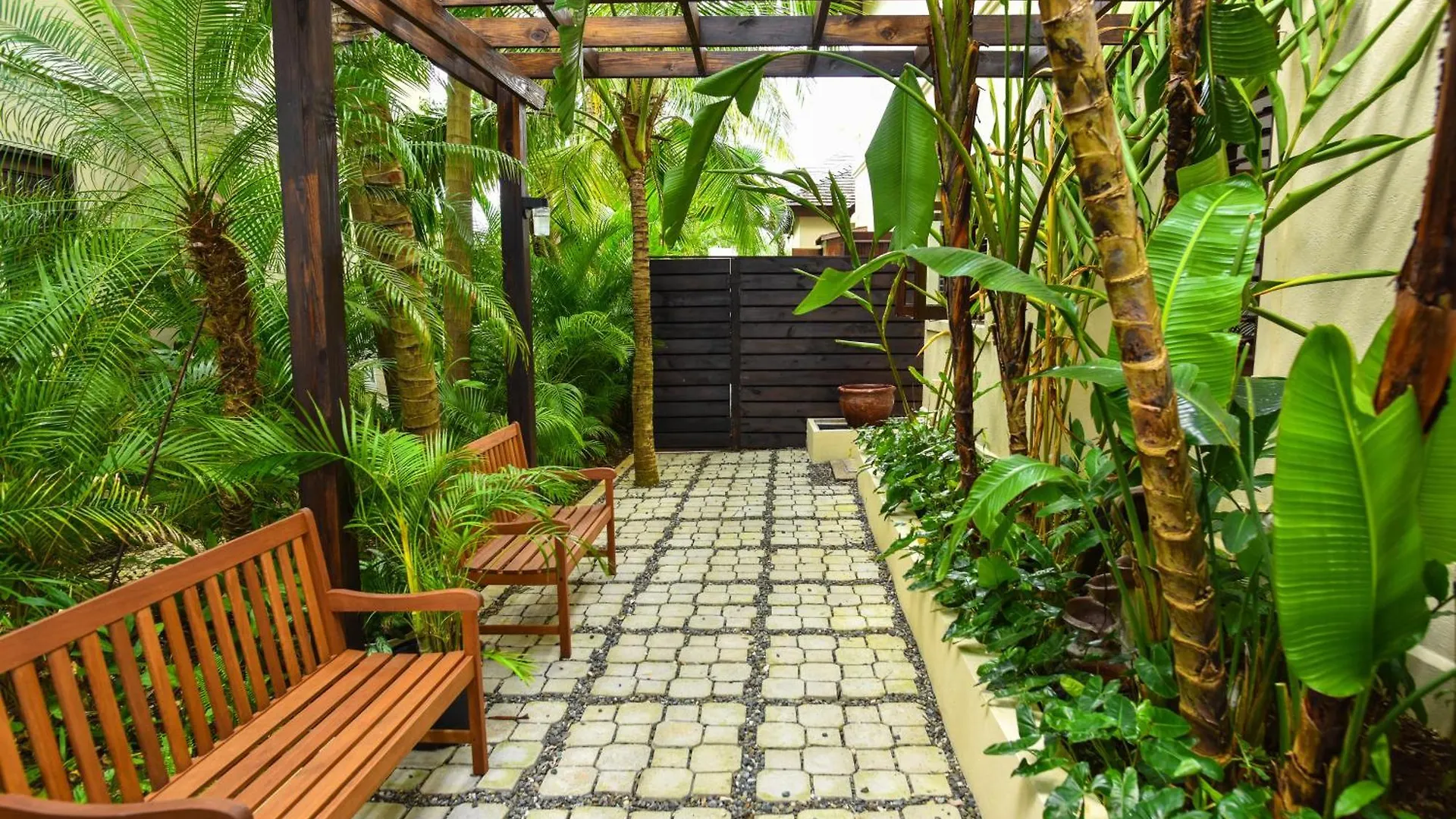 Afimi Beach House Montego Bay 4Br Beachfront Villa Jamajka
